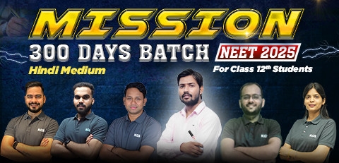 NEET 2025 Mission 300 Days Batch Hindi Medium