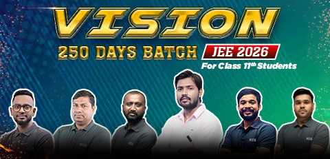 Class 11th Vision 250 Days Bilingual Batch JEE 2026